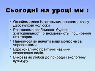 Сьогодні на уроці ми :Сьогодні на уроці ми :
 Ознайомимося із загальним ознаками класуОзнайомимося із загальним ознаками класу
Двостулкові молюскиДвостулкові молюски
 Розглянемо особливості будови,Розглянемо особливості будови,
життєдіяльності, різноманітність і поширенняжиттєдіяльності, різноманітність і поширення
цих тварин.цих тварин.
 Навчимося визначати види молюсків заНавчимося визначати види молюсків за
черепашками.черепашками.
 Вдосконалимо практичні навичкиВдосконалимо практичні навички
визначення видів.визначення видів.
 Виховаємо любов до природи і екологічнуВиховаємо любов до природи і екологічну
культуру.культуру.
 