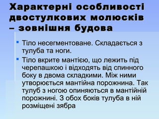 Характерні особливостіХарактерні особливості
двостулкових молюсківдвостулкових молюсків
– зовнішня будова– зовнішня будова
 Тіло несегментоване. Складається зТіло несегментоване. Складається з
тулуба та ноги.тулуба та ноги.
 Тіло вкрите мантією, що лежить підТіло вкрите мантією, що лежить під
черепашкою і відходять від спинногочерепашкою і відходять від спинного
боку в двома складкими. Між нимибоку в двома складкими. Між ними
утворюється мантійна порожнина. Такутворюється мантійна порожнина. Так
тулуб з ногою опиняються в мантійнійтулуб з ногою опиняються в мантійній
порожнині. З обох боків тулуба в нійпорожнині. З обох боків тулуба в ній
розміщені зябрарозміщені зябра
 