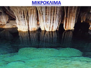 ΜΙΚΡΟΚΛΙΜΑ
 