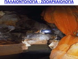 ΠΑΛΑΙΟΝΤΟΛΟΓΙΑ - ΖΩΟΑΡΧΑΙΟΛΟΓΙΑ
 