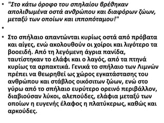 • "Στο κάτω όροφο του σπηλαίου βρέθηκαν
απολιθωμένα οστά ανθρώπου και διαφόρων ζώων,
μεταξύ των οποίων και ιπποπόταμου!"
•
• Στο σπήλαιο απαντώνται κυρίως οστά από πρόβατα
και αίγες, ενώ ακολουθούν οι χοίροι και λιγότερο τα
βοοειδή. Από τη λεγόμενη άγρια πανίδα,
ταυτίστηκαν το ελάφι και ο λαγός, από τα πτηνά
κυρίως τα αρπακτικά. Γενικά το σπήλαιο των Λιμνών
πρέπει να θεωρηθεί ως χώρος εγκατάστασης του
ανθρώπου και στάβλος οικόσιτων ζώων, ενώ στο
γύρω από το σπήλαιο ευρύτερο ορεινό περιβάλλον,
διαβιούσαν λύκοι, αλεπούδες, ελάφια μεταξύ των
οποίων η ευγενής έλαφος η πλατύκερως, καθώς και
αρκούδες.
 