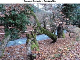 Αροάνιος Ποταμός - Αροάνια Όρη
 