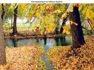 Στον παραπόταμο του Λάδωνα, Αροάνιο.
 