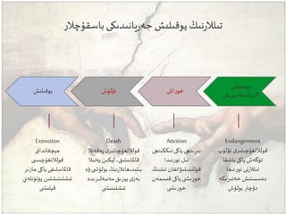 ‫باسقۇچالر‬‫يانىدىكى‬‫ر‬‫جە‬ ‫يوقىلىش‬‫نىڭ‬‫ر‬‫تىلال‬
Extinction
‫ھېەقانداق‬
‫ى‬ ‫قولالنغۇچىس‬
‫ھا‬ ‫ياكى‬ ‫قاملاسلىقى‬‫زىر‬
‫پۈ‬ ‫ئىشلىتىشتىن‬‫تۈنلەي‬
‫ى‬ ‫قېلىش‬
Death
‫پەقەت‬ ‫ى‬‫قولالنغۇچىلىر‬‫ال‬
‫يەن‬ ‫لېكىن‬،‫قاملاسلىق‬‫ىال‬
‫بولۇ‬ ‫نىڭ‬‫ر‬‫بىلىدىغانال‬‫ۋە‬ ‫ى‬ ‫ش‬
‫مەنبەلىرىد‬ ‫يېزىق‬ ‫ى‬‫بەز‬‫ە‬
‫ى‬ ‫ئىشلىنىش‬
Attrition
‫ئىككىن‬ ‫ياكى‬ ‫بىرىنچى‬‫چى‬
‫نىدا‬‫ر‬‫ئو‬ ‫تىل‬
‫تىلنىڭ‬ ‫قوللىنىلىۋاتقان‬
‫قىسمەن‬ ‫ياكى‬ ‫ى‬ ‫ىش‬‫ر‬‫خو‬
‫ى‬ ‫ىش‬‫ر‬‫خو‬
Endangerment
‫ئۆل‬ ‫ى‬‫قولالنغۇچىلىر‬‫ۈپ‬
‫باشقا‬ ‫ياكى‬ ‫تۈگەش‬
‫نىغا‬‫ر‬‫ئو‬ ‫نى‬‫ر‬‫تىلال‬
‫خەتىرىگ‬ ‫دەسستىش‬‫ە‬
‫بولۇش‬ ‫دۇچار‬
‫يوقىلىش‬
‫بېرىش‬ ‫گىردابىغا‬
‫اش‬‫ر‬‫خو‬‫ئۆلۈش‬‫يوقىلىش‬
 