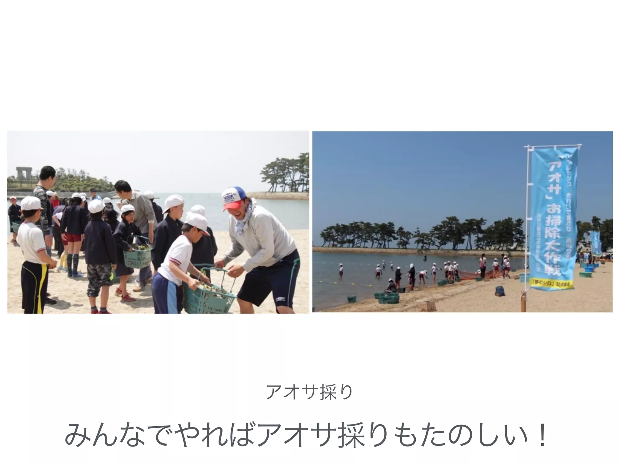 アオサ採り
みんなでやればアオサ採りもたのしい！
 