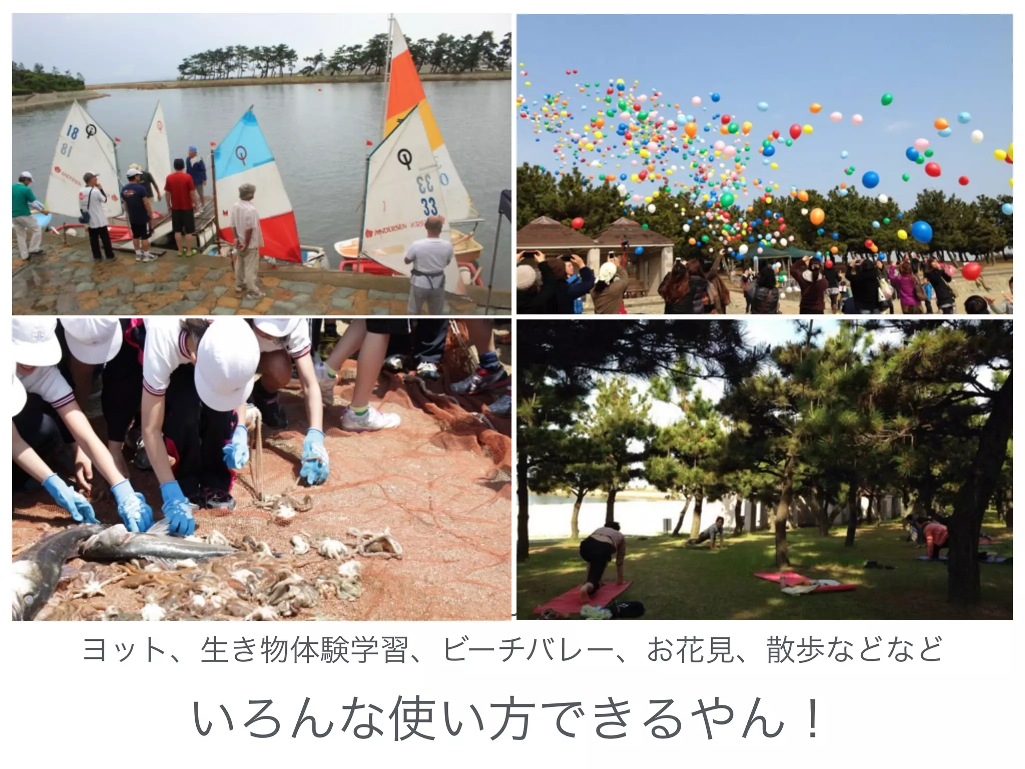 よろしくお
ヨット、生き物体験学習、ビーチバレー、お花見、散歩などなど
いろんな使い方できるやん！
 