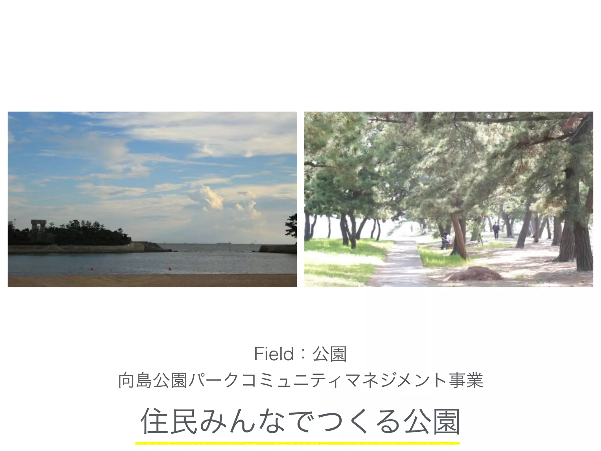 Field：公園
向島公園パークコミュニティマネジメント事業
住民みんなでつくる公園
 