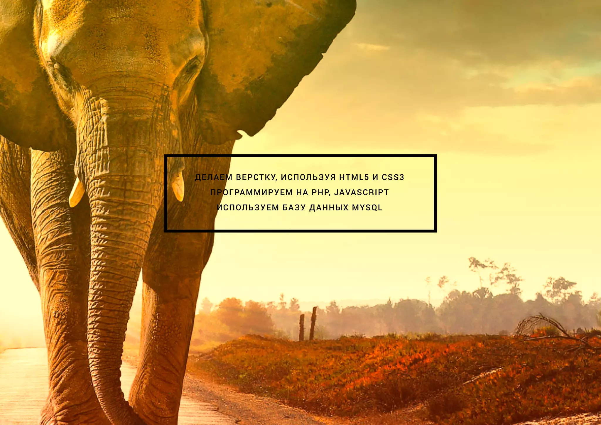 ДЕЛАЕМ ВЕРСТКУ, ИСПОЛЬЗУЯ HTML5 И CSS3
ПРОГРАММИРУЕМ НА PHP, JAVASCRIPT
ИСПОЛЬЗУЕМ БАЗУ ДАННЫХ MYSQL
 