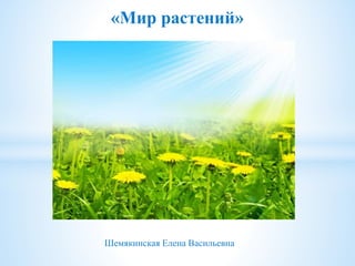 Шемякинская Елена Васильевна
«Мир растений»
 