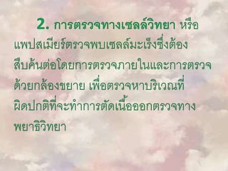 2. การตรวจทางเซลล์วิทยา หรือ
แพปสเมียร์ตรวจพบเซลล์มะเร็งซึ่งต้อง
สืบค้นต่อโดยการตรวจภายในและการตรวจ
ด้วยกล้องขยาย เพื่อตรวจหาบริเวณที่
ผิดปกติที่จะทาการตัดเนื้อออกตรวจทาง
พยาธิวิทยา
 
