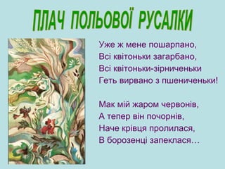 Уже ж мене пошарпано,
Всі квітоньки загарбано,
Всі квітоньки-зірниченьки
Геть вирвано з пшениченьки!
Мак мій жаром червонів,
А тепер він почорнів,
Наче крівця пролилася,
В борозенці запеклася…
 