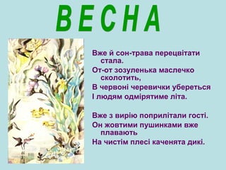 Вже й сон-трава перецвітати
стала.
От-от зозуленька маслечко
сколотить,
В червоні черевички убереться
І людям одмірятиме літа.
Вже з вирію поприлітали гості.
Он жовтими пушинками вже
плавають
На чистім плесі каченята дикі.
 