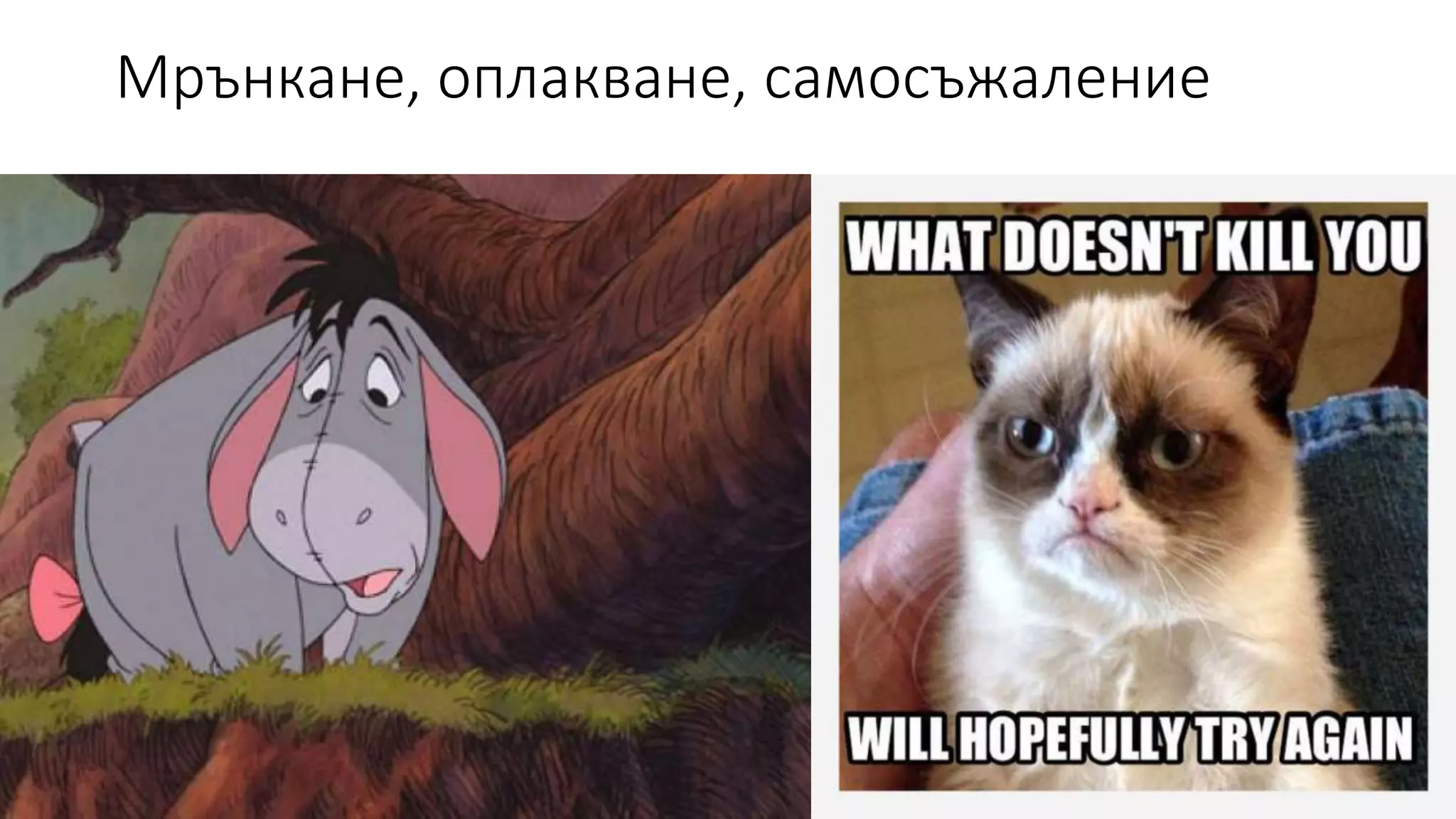 Мрънкане, оплакване, самосъжаление
 