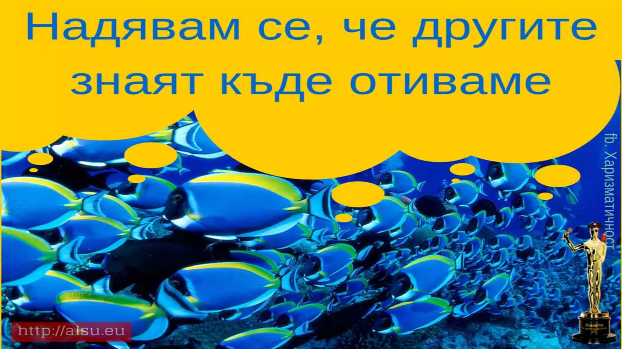 Училището на живота
 