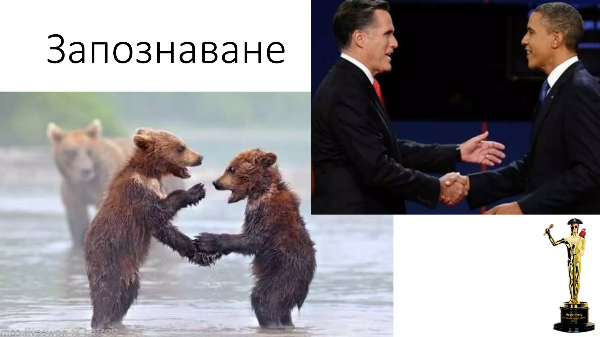 Запознаване
 