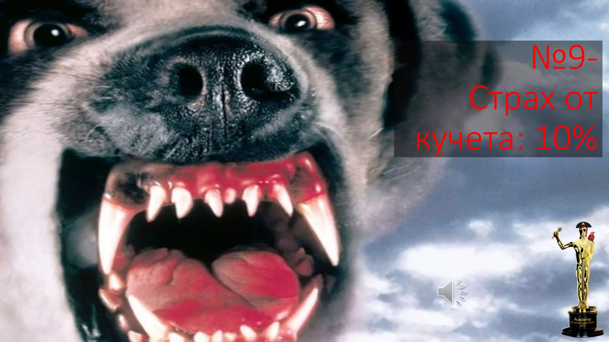 №9-
Страх от
кучета: 10%
 