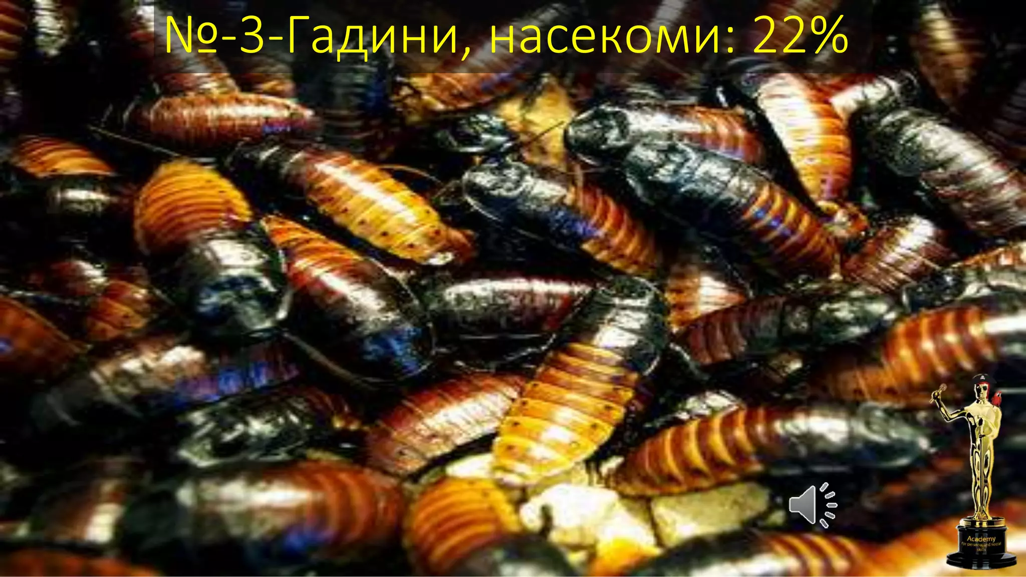 №-3-Гадини, насекоми: 22%
 