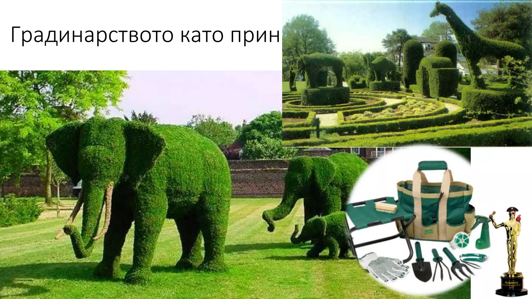 Градинарството като принцип
 