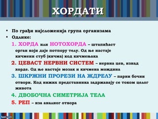 ХОРДАТИХОРДАТИ
• По грађи најсложенија група организама
• Одлике:
1. ХОРДА или НОТОХОРДА – штапићаст
орган који даје потпору телу. Од ње настаје
кичмени стуб (кичма) код кичмењака
2. ЦЕВАСТ НЕРВНИ СИСТЕМ – нервна цев, изнад
хорде. Од ње настаје мозак и кичмена мождина
3. ШКРЖНИ ПРОРЕЗИ НА ЖДРЕЛУ – парни бочни
отвори. Код нижих представника задржавају се током целог
живота
4. ДВОБОЧНА СИМЕТРИЈА ТЕЛА
5. РЕП – иза аналног отвора
 