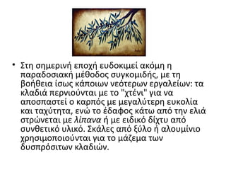 • Στη σημερινή εποχή ευδοκιμεί ακόμη η
παραδοσιακή μέθοδος συγκομιδής, με τη
βοήθεια ίσως κάποιων νεότερων εργαλείων: τα
κλαδιά περνιούνται με το "χτένι" για να
αποσπαστεί ο καρπός με μεγαλύτερη ευκολία
και ταχύτητα, ενώ το έδαφος κάτω από την ελιά
στρώνεται με λίπανα ή με ειδικό δίχτυ από
συνθετικό υλικό. Σκάλες από ξύλο ή αλουμίνιο
χρησιμοποιούνται για το μάζεμα των
δυσπρόσιτων κλαδιών.
 