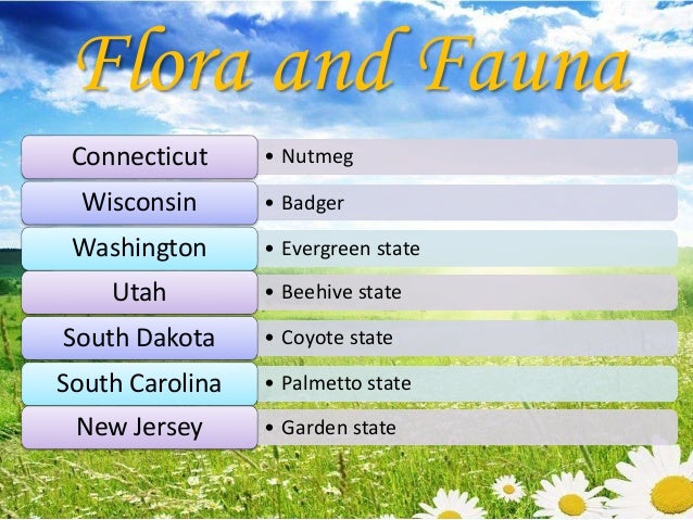 an overview of origins of us state nicknames Origins of us state names: o you know how your state got its name here are the etymologies of the names of all the us states based on the best available linguistic. an overview of origins of us state nicknames Origins of us state names: o you know how your state got its name here are the etymologies of the names of all the us states based on the best available linguistic.
