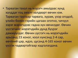 тарваган тахал | PPT