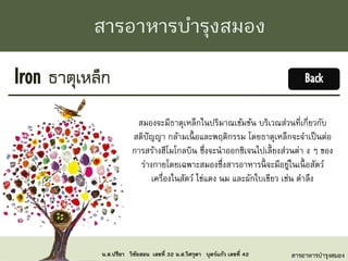 สารอาหารบารุงสมอง
Iron ธาตุเหล็ก
สมองจะมีธาตุเหล็กในปริมาณเข้มข้น บริเวณส่วนที่เกี่ยวกับ
สติปัญญา กล้ามเนื้ อและพฤติกรรม โดยธาตุเหล็กจะจาเป็นต่อ
การสร้างฮีโมโกลบิน ซึ่งจะนาออกซิเจนไปเลี้ยงส่วนต่า ง ๆ ของ
ร่างกายโดยเฉพาะสมองซึ่งสารอาหารนี้ จะมีอยู่ในเนื้ อสัตว์
เครื่องในสัตว์ ไข่แดง นม และผักใบเขียว เช่น ตาลึง
สารอาหารบารุงสมอง
Back
น.ส.ปรียา วิชัยสอน เลขที่ 32 น.ส.วิศรุตา บุตร์แก้ว เลขที่ 42
 