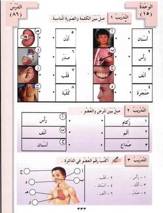 العربية بين يديك