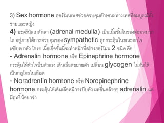 3) Sex hormone ฮอร์โมนเพศช่วยควบคุมลักษณะทางเพศที่สมบูรณ์ทั้ง
ชายและหญิง
4) อะดรีนัลเมดัลลา (adrenal medulla) เป็นเนื้อชั้นในของต่อมหมวก
ไต อยู่ภายใต้การควบคุมของ sympathetic ถูกกระตุ้นในขณะตกใจ
เครียด กลัว โกรธ เนื้อเยื่อชั้นนี้จะทาหน้าที่สร้างฮอร์โมน 2 ชนิด คือ
- Adrenalin hormone หรือ Epinephrine hormone
กระตุ้นให้หัวใจบีบตัวแรง เส้นเลือดขยายตัว เปลี่ยน glycogen ในตับให้
เป็นกลูโคสในเลือด
- Noradrenlin hormone หรือ Norepinephrine
hormone กระตุ้นให้เส้นเลือดมีการบีบตัว ผลอื่นคล้ายๆ adrenalin แต่
มีฤทธิ์น้อยกว่า
 