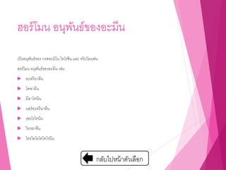 ฮอร์โมน อนุพันธ์ของอะมีน
เป็นอนุพันธ์ของ กรดอะมิโน ไทโรซีน และ ทริปโตแฟน
ฮอร์โมน อนุพันธ์ของอะมีน เช่น
 อะดรีนาลีน
 โดพามีน
 มีลาโทนิน
 นอร์อะดรีนาลีน
 เซอโรโทนิน
 ไทรอกซีน
 ไตรไอโอโดไทโรนีน
กลับไปหน้าตัวเลือก
 