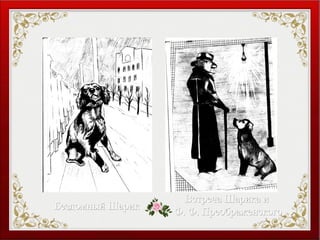 Бездомный ШарикБездомный Шарик
Встреча Шарика иВстреча Шарика и
Ф. Ф. ПреображенскогоФ. Ф. Преображенского
 