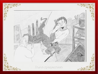 Новое превращениеНовое превращение
 