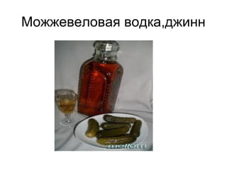 Можжевеловая водка,джинн
 