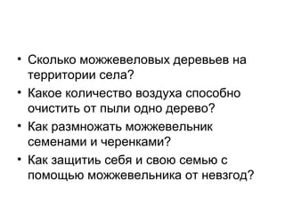 • Сколько можжевеловых деревьев на
территории села?
• Какое количество воздуха способно
очистить от пыли одно дерево?
• Как размножать можжевельник
семенами и черенками?
• Как защитиь себя и свою семью с
помощью можжевельника от невзгод?
 