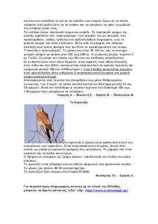 και έχει την συνήθεια να ρίχνει τα κόκαλα των νεκρών ζώων με τα οποία
τρέφεται από ψηλά ώστε να τα σπάσει και να μπορέσει να φάει το μεδούλι
που υπάρχει μέσα τους.
Τα ενήλικα έχουν πορτοκαλί σώμα και κεφάλι. Το πορτοκαλί χρώμα της
κοιλιάς οφείλεται στο «μακιγιάρισμα» των φτερών του με σκουριά, που
προσλαμβάνει, καθώς τρίβεται στα ασβεστολιθικά πετρώματα, ενώ το
φυσικό χρώμα του είναι υπόλευκο. Κάτω από το ράμφος του υπάρχει
απόληξη από τρίχες πράγμα που του δίνει το χαρακτηριστικό του όνομα
"Γυπαετός ο γενειοφόρος". Το μήκος του είναι 95-105 εκ. και το άνοιγμα
φτερών μπορεί να φτάσει από 250 έως 280 εκ. Ο γυπαετός ζυγίζει περίπου 5
με 7 κιλά. Ζει μέχρι την ηλικία των 40 ετών σε συνθήκες αιχμαλωσίας.
Οι γυπαετοί ζουν στην νότια Ευρώπη, στην Αφρική, στην Μέση-Ανατολή,
στην Ινδία και στο Θιβέτ, κατοικώντας αποκλειστικά σε ορεινές περιοχές (σε
υψόμετρα μεταξύ 500 και 4.000 μέτρων). Στην Ελλάδα συναντάται πια μόνο
στην ορεινή Κρήτη όπου υπάρχουν 5 αναπαραγωγικά ζευγάρια και μερικά
ακόμη μοναχικά άτομα.
Αναπαράγονται από τα μέσα του Δεκεμβρίου έως μέσα Φεβρουαρίου,
γεννώντας 1 με 2 αυγά, τα οποία εκκολάπτονται σε διάστημα μεταξύ 53 και
58 ημερών. Μετά την εκκόλαψη οι νεοσσοί περνούν ένα διάστημα 106 έως
130 ημερών πριν μπορέσουν να πετάξουν.
Γιώργος π. - Φωτεινή Σ. - Ειρήνη Β. - Παναγιώτα Μ.
Το Κιρκινέζι
Το κιρκινέζι ή κίρκος είναι αρπακτικό πτηνό της
οικογένειας των ιερακιδών. Είναι σταχτοκάστανο στη ράχη, λευκό στην
κοιλιά, με μαύρες κυματιστές γραμμές στις φτερούγες. Το ράμφος του είναι
καστανό και τα πόδια του κίτρινα.
Ο Όμηρος το αναφέρει ως "ίρημα κίρκου¨ επειδή κατά την πτήση του κάνει
κύκλους.
Το κιρκινέζι είναι αδηφάγο και επιτίθεται ακόμα και στα αρπακτικά πουλιά.
Το μήκος του φτάνει 40-50 εκατοστόμετρα.
Τα κιρκινέζια ζουν κυρίως στη Στερεά Ελλάδα.
Νεκτάριος Τσ. - Ειρήνη Λ.
Για περισσότερες πληροφορίες σχετικά με τα πτηνά της Ελλάδας
μπορείτε να βρείτε κάνοντας "κλικ" εδώ: http://www.ornithologiki.gr/
 