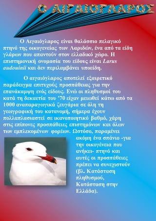 Ο Αιγαιόγλαρος είναι θαλάσσιο πελαγικό
πτηνό της οικογενείας των Λαριδών, ένα από τα είδη
γλάρων που απαντούν στον ελλαδικό χώρο. Η
επιστημονική ονομασία του είδους είναι Larus
audouinii και δεν περιλαμβάνει υποείδη.
Ο αιγαιόγλαρος αποτελεί εξαιρετικό
παράδειγμα επιτυχούς προσπάθειας για την
επανάκαμψη ενός είδους. Ενώ οι πληθυσμοί του
κατά τη δεκαετία του '70 είχαν μειωθεί κάτω από τα
1000 αναπαραγωγικά ζευγάρια σε όλη τη
γεωγραφική του κατανομή, σήμερα έχουν
πολλαπλασιαστεί σε ικανοποιητικό βαθμό, χάρη
στις επίπονες προσπάθειες επιστημόνων και όλων
των εμπλεκομένων φορέων. Ωστόσο, παραμένει
ακόμη ένα σπάνιο -για
την οικογένεια που
ανήκει- πτηνό και
αυτές οι προσπάθειες
πρέπει να συνεχιστούν
(βλ. Κατάσταση
πληθυσμού,
Κατάσταση στην
Ελλάδα).
 