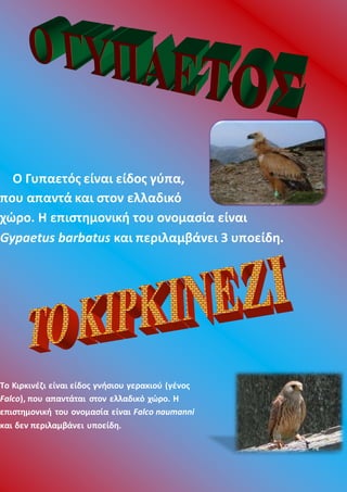 Ο Γυπαετός είναι είδος γύπα,
που απαντά και στον ελλαδικό
χώρο. Η επιστημονική του ονομασία είναι
Gypaetus barbatus και περιλαμβάνει 3 υποείδη.
Το Κιρκινέζι είναι είδος γνήσιου γερακιού (γένος
Falco), που απαντάται στον ελλαδικό χώρο. Η
επιστημονική του ονομασία είναι Falco naumanni
και δεν περιλαμβάνει υποείδη.
 