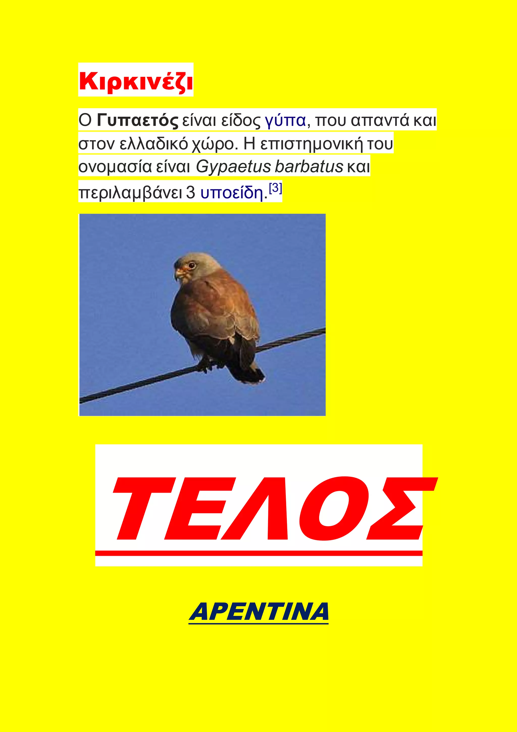 Κιρκινέζι
Ο Γυπαετός είναι είδος γύπα, που απαντά και
στον ελλαδικό χώρο. Η επιστημονική του
ονομασία είναι Gypaetus barbatus και
περιλαμβάνει 3 υποείδη.[3]
ΤΕΛΟΣ
ΑΡΕΝΤΙΝΑ
 