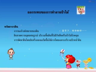 ผลกระทบของการทาลายป่ าไม้
ทรัพยากรดิน
การชะล้างพังทลายของดิน
ดินขาดความอุดมสมบูรณ์ บริเวณพื้นดินที่ไม่มีวัชพืชหรือป่าไม้ปกคลุม
การพัดพาดินโดยฝนหรือลมจะเกิดขึ้นได้มากโดยเฉพาะบริเวณผิวหน้าดิน
 