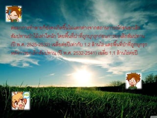 ต่อมาการทาลายก็ยังคงเกิดขึ้นไม่แตกต่างจากสถานการณ์ก่อนยกเลิก
สัมปทานป่าไม้เท่าใดนัก โดยพื้นที่ป่าที่ถูกบุกรุกก่อนการยกเลิกสัมปทาน
(ปี พ.ศ. 2525-2532) เฉลี่ยต่อปีเท่ากับ 1.2 ล้านไร่ และพื้นที่ป่าที่ถูกบุกรุก
หลังการยกเลิกสัมปทาน (ปี พ.ศ. 2532-2541) เฉลี่ย 1.1 ล้านไร่ต่อปี
 