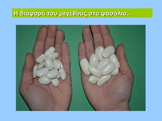 Η διαφορά του μεγέθους στα φασόλια…Η διαφορά του μεγέθους στα φασόλια…
 
