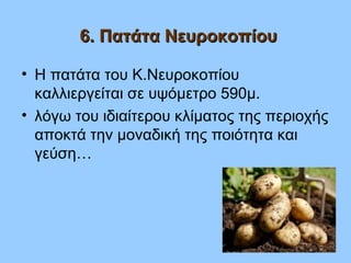 6. Πατάτα Νευροκοπίου6. Πατάτα Νευροκοπίου
• Η πατάτα του Κ.Νευροκοπίου
καλλιεργείται σε υψόμετρο 590μ.
• λόγω του ιδιαίτερου κλίματος της περιοχής
αποκτά την μοναδική της ποιότητα και
γεύση…
 