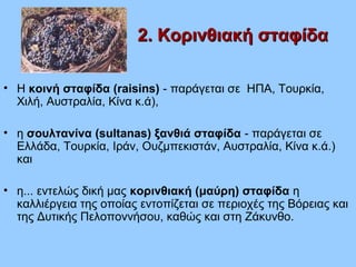 2. Κορινθιακή σταφίδα2. Κορινθιακή σταφίδα
• Η κοινή σταφίδα (raisins) - παράγεται σε ΗΠΑ, Τουρκία,
Χιλή, Αυστραλία, Κίνα κ.ά),
• η σουλτανίνα (sultanas) ξανθιά σταφίδα - παράγεται σε
Ελλάδα, Τουρκία, Ιράν, Ουζμπεκιστάν, Αυστραλία, Κίνα κ.ά.)
και
• η... εντελώς δική μας κορινθιακή (μαύρη) σταφίδα η
καλλιέργεια της οποίας εντοπίζεται σε περιοχές της Βόρειας και
της Δυτικής Πελοποννήσου, καθώς και στη Ζάκυνθο.
 