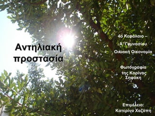 ΑντηλιακήΑντηλιακή
προστασίαπροστασία
Επιμέλεια:
Κατερίνα Χαζάπη
4ο Κεφάλαιο –
Α’ Γυμνασίου
Οικιακή Οικονομία
Φωτογραφία
της Κορίνας
Σηφάκη
 
