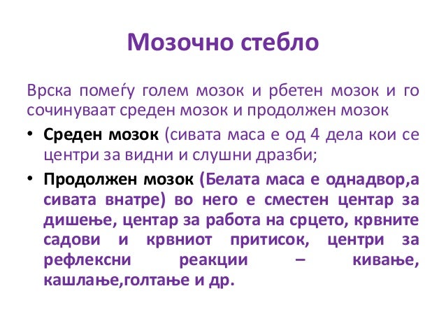 нервен систем