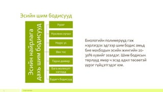 Эсийн шим бодисууд
Footer text here3
Эсийннайрлага
дахьшимбодисууд
Уураг
Нуклеин хүчил
Нүүрс ус
Өөх тос
Гадна даавар
Бага молекулт
нэглүүд
Будагч бодисууд
Биологийн полимерүүд гэж
нэрлэгдэх эдгээр шим бодис амьд
бие махбодын эсийн жингийн 20-
30% хувийг эзэлдэг. Шим бодисын
төрлүүд ямар ч эсэд адил төсөөтэй
үүрэг гүйцэтгэдэг юм.
 