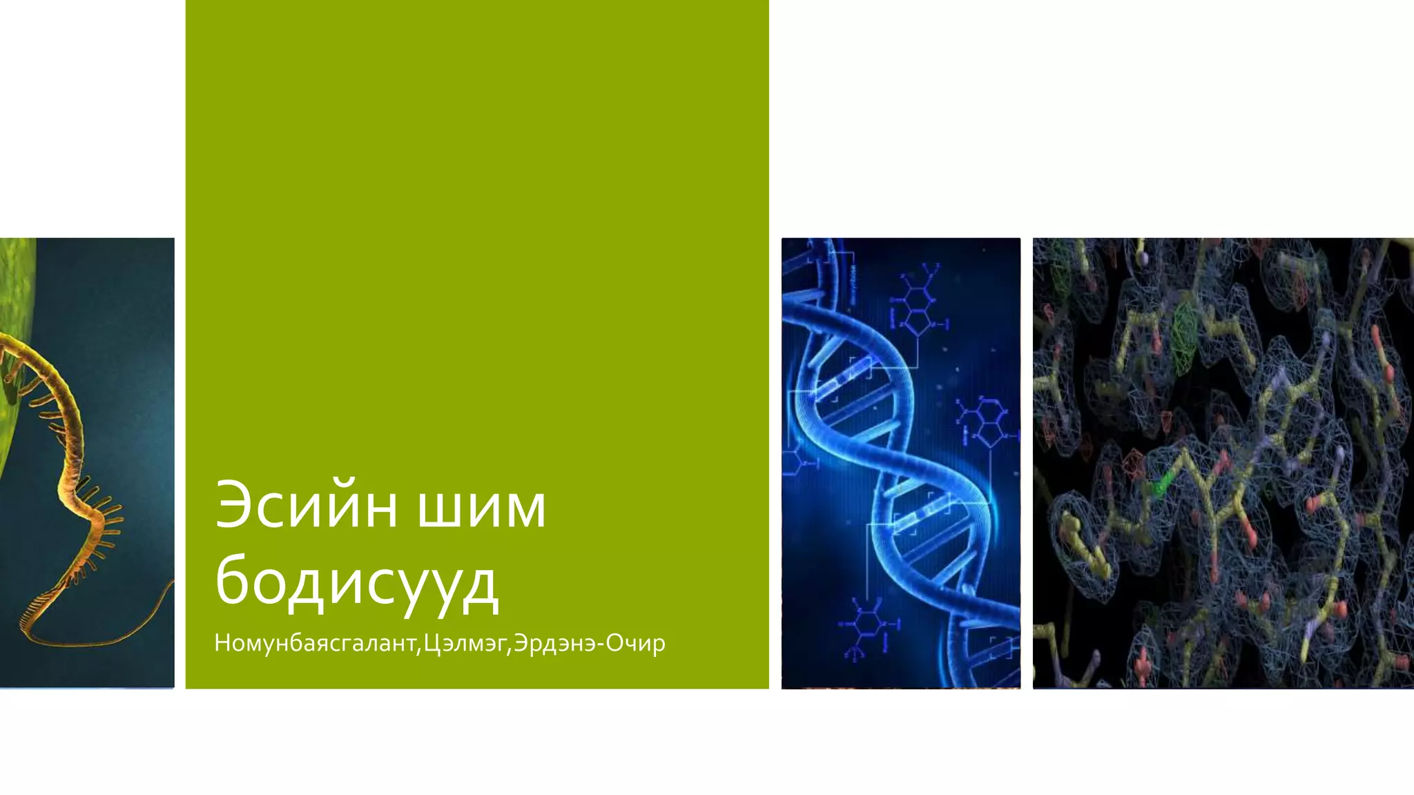 эсийн шим бодисууд | PPT