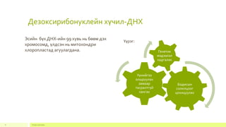 Дезоксирибонуклейн хүчил-ДНХ
Footer text here8
Эсийн бүх ДНХ-ийн 99 хувь нь бөөм дэх
хромосомд, үлдсэн нь митохондри
хлоропластад агуулагдана.
Үүрэг:
Бодисын
солилцоог
цохицуулах
Үүнийгээ
олшруулах
замаар
тасралтгүй
хангах
Генетик
мэдээлэл
хадгалах
 