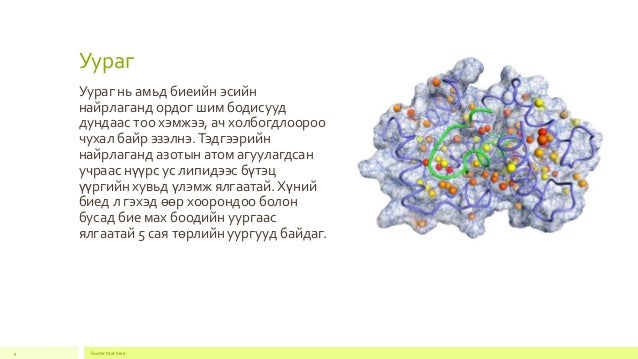 эсийн шим бодисууд