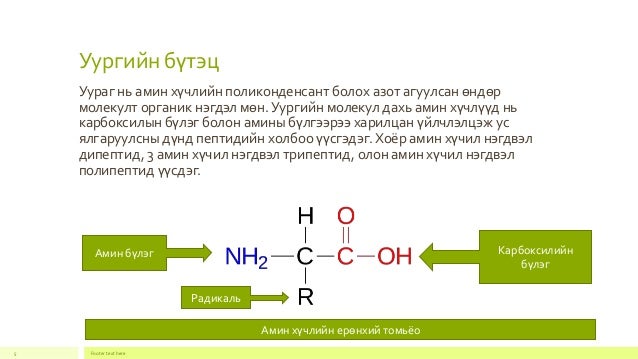 эсийн шим бодисууд